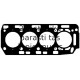Прокладка, головка цилиндра ELRING 984.704