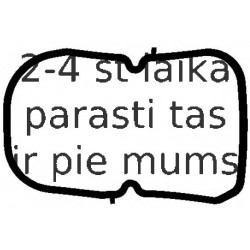 Blīve, Eļļas vācele-Autom. pārnesumkārba ELRING 921.386