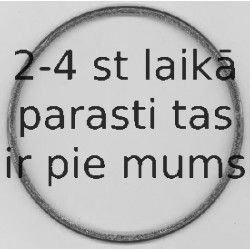 Blīve, Izplūdes caurule ELRING 844.310