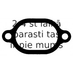 Blīve, Dzesēšanas šķidruma flancis ELRING 768.391