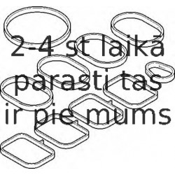 Комплект прокладок, впускной коллектор ELRING 689.940