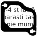 Blīve, Ieplūdes kolektors ELRING 687.600