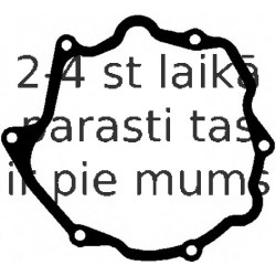 Прокладка, вакуумный насос ELRING 646.830