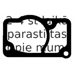 Прокладка, корпус термостата ELRING 646.212