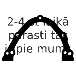 Blīve, Eļļas vācele (Motora bloks) ELRING 617.852