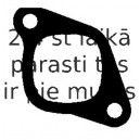 Blīve, Izplūdes kolektors ELRING 599.906