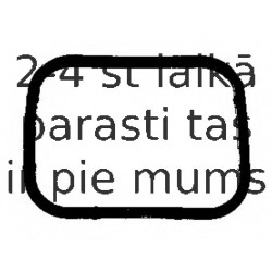 Blīve, Ieplūdes kolektora korpuss ELRING 574.180