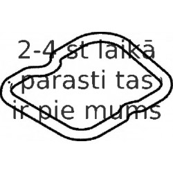 Прокладка, крышка головки цилиндра ELRING 569.700