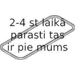 Blīve, Eļļas vācele ELRING 569.530