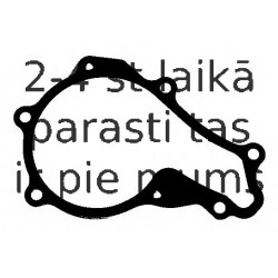 Прокладка, водяной насос ELRING 569.350