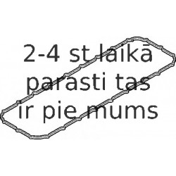 Прокладка, крышка головки цилиндра ELRING 569.330