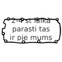 Прокладка, крышка головки цилиндра ELRING 554.970
