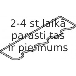 Прокладка, крышка головки цилиндра ELRING 542.050