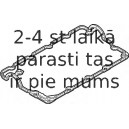 Прокладка, крышка головки цилиндра ELRING 542.000