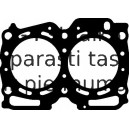 Blīve, Motora bloka galva ELRING 540.500