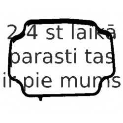 Прокладка, корпус термостата ELRING 539.560