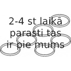 Комплект прокладок, впускной коллектор ELRING 537.890