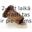 Прокладка, корпус форсунки ELRING 535.160