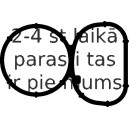 Blīve, Ieplūdes kolektors ELRING 529.960