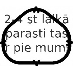 Blīve, Ieplūdes kolektors ELRING 522.230