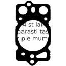 Blīve, Motora bloka galva ELRING 521.347