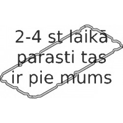 Blīve, Eļļas vācele ELRING 515.460