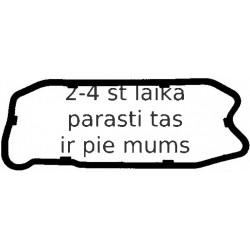 Blīve, Eļļas vācele ELRING 505.450