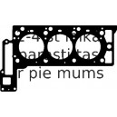 Blīve, Motora bloka galva ELRING 497.400