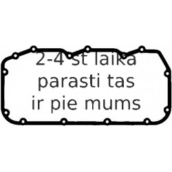 Blīve, Motora bloka galvas vāks ELRING 497.300