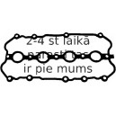 Blīve, Motora bloka galvas vāks ELRING 497.240