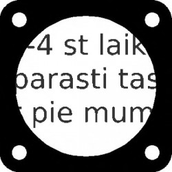 Blīve, Ieplūdes kolektora korpuss ELRING 490.591