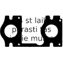 Blīve, Izplūdes kolektors ELRING 475.170