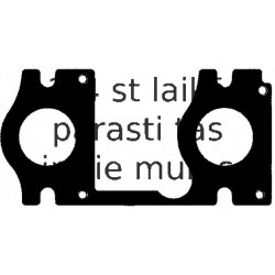 Blīve, Izplūdes kolektors ELRING 475.170