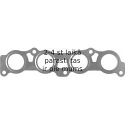 Blīve, Izplūdes kolektors ELRING 458.690