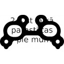 Blīve, Izplūdes kolektors ELRING 457.010