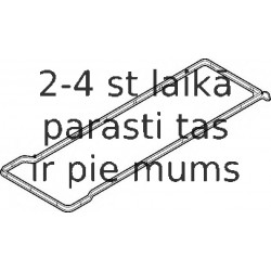 Прокладка, крышка головки цилиндра ELRING 445.700
