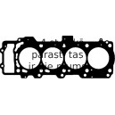 Blīve, Motora bloka galva ELRING 445.180