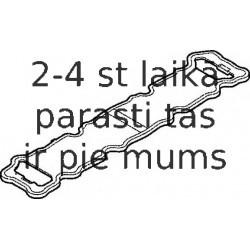 Прокладка, крышка головки цилиндра ELRING 431.450