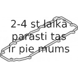 Прокладка, крышка головки цилиндра ELRING 399.950