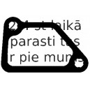 Blīve, Dzesēšanas šķidruma flancis ELRING 390.340