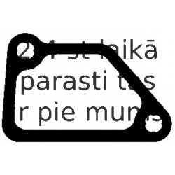 Blīve, Dzesēšanas šķidruma flancis ELRING 390.340