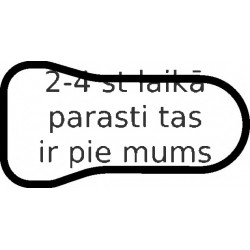 Blīve, Ieplūdes kolektors ELRING 380.770