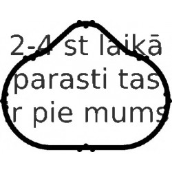 Blīve, Ieplūdes kolektors ELRING 365.030