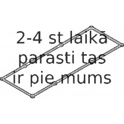 Прокладка, крышка головки цилиндра ELRING 353.980