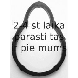 Blīve, Ieplūdes kolektors ELRING 331.781