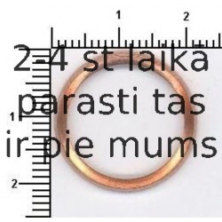 Прокладка, корпус форсунки ELRING 297.170