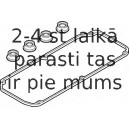 Комплект прокладок, крышка головки цилиндра ELRING 290.780