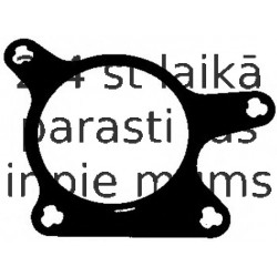 Blīve, Izplūdes gāzu recirkulācijas vārsts ELRING 261.171