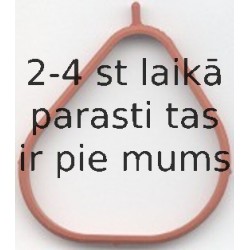 Blīve, Ieplūdes kolektors ELRING 052.040