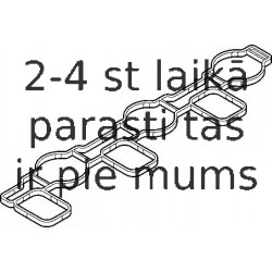 Blīve, Ieplūdes kolektors ELRING 251.010